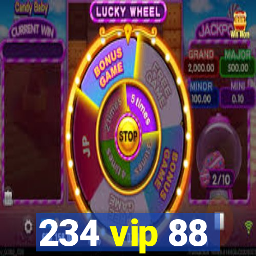 234 vip 88